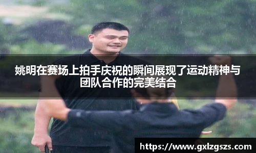 多多28官网