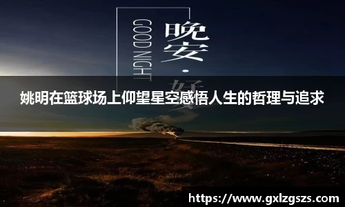 多多28首页