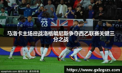 多多28