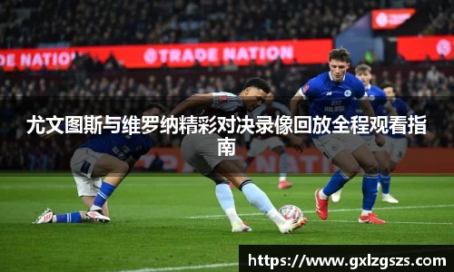 多多28首页